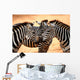 Three Zebras Kissing Wall Mural