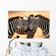 Three Zebras Kissing Wall Mural