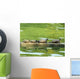 Sunning Turtles Wall Decal