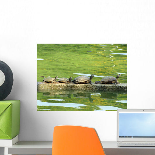 Sunning Turtles Wall Decal