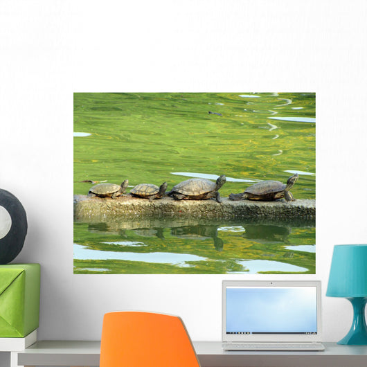 Sunning Turtles Wall Decal