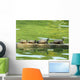 Sunning Turtles Wall Decal