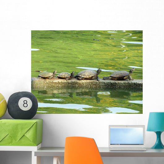 Sunning Turtles Wall Decal