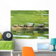 Sunning Turtles Wall Decal