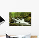 Mountain Stream