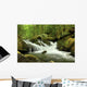 Mountain Stream