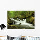 Mountain Stream