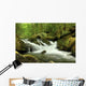 Mountain Stream