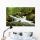 Mountain Stream