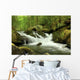Mountain Stream