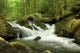 Mountain Stream