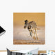 Baby Zebra Running Wall Mural