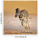Baby Zebra Running Wall Mural