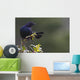 Alert Brewer's blackbird perched on twig Wall Mural