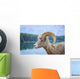 Bighorn Sheep Wall Mural
