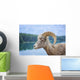 Bighorn Sheep Wall Mural