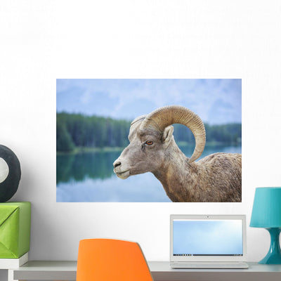 Bighorn Sheep Wall Mural shown on a wall