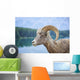 Bighorn Sheep Wall Mural