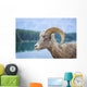 Bighorn Sheep Wall Mural