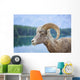 Bighorn Sheep Wall Mural