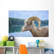 Bighorn Sheep Wall Mural
