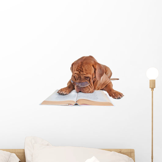 Dog Reading a Book Wall Decal