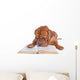 Dog Reading a Book Wall Decal