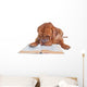 Dog Reading a Book Wall Decal