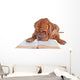 Dog Reading a Book Wall Decal