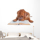 Dog Reading a Book Wall Decal