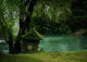 Fairy Tale House Wall Decal