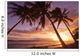 Palm trees at sunset Wall Mural