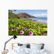 Beach morning glory with Pu'u O'lai in background Wall Mural
