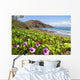 Beach morning glory with Pu'u O'lai in background Wall Mural