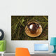 Traditional tea Wall Mural