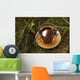 Traditional tea Wall Mural