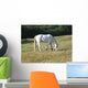 Pferd Wall Mural