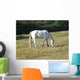 Pferd Wall Mural