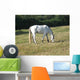 Pferd Wall Mural