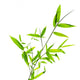 Bamboo leaves Wall Decal
