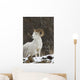 Bighorn Sheep Wall Mural