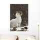 Bighorn Sheep Wall Mural
