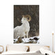 Bighorn Sheep Wall Mural
