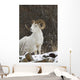 Bighorn Sheep Wall Mural