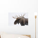 An elk with snow on it's fur Wall Mural