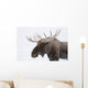 An elk with snow on it's fur Wall Mural