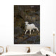 A young bighorn sheep standing among rocks and grass Wall Mural