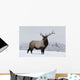An elk standing in a field of snow with frozen trees in the background Wall Mural