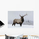 An elk standing in a field of snow with frozen trees in the background Wall Mural