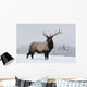 An elk standing in a field of snow with frozen trees in the background Wall Mural
